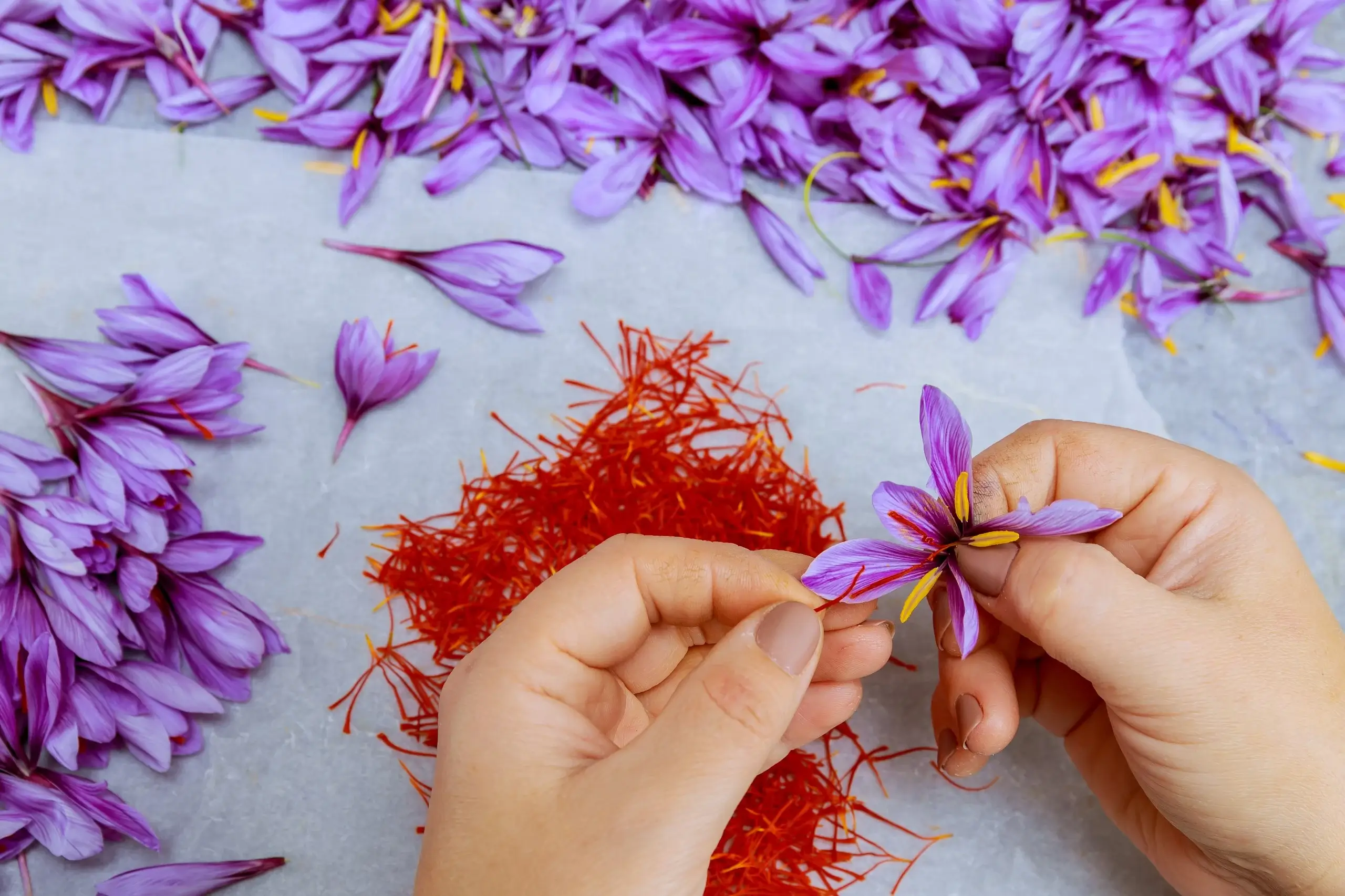 buy saffron online golden saffron